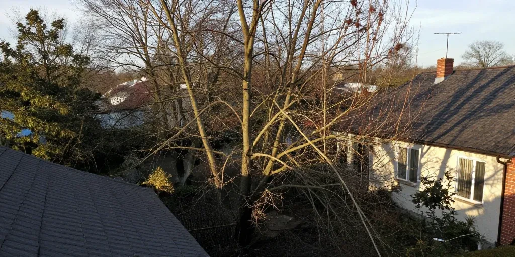 Élagage et prévention incendie en zone périurbaine : pourquoi les normes officielles ne suffisent pas à protéger votre maison